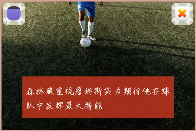 森林狼重视詹姆斯实力期待他在球队中发挥最大潜能