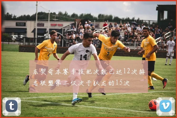 东契奇本赛季技犯次数已达12次排名联盟第二仅次于狄龙的15次