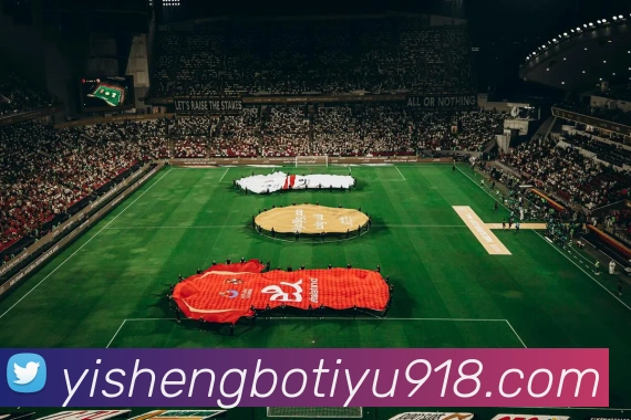 多媒体互动体验